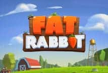 autowin888 fat rabbit