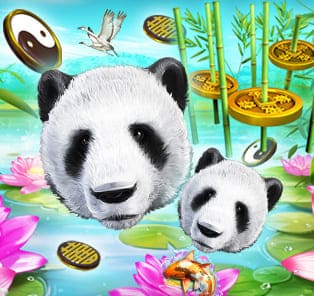 jack88 wild giant panda
